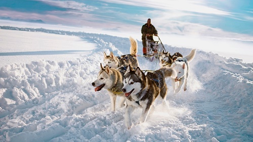 Kış Masalları: Lapland'da Kuzey Işıkları ve Kar Festivali