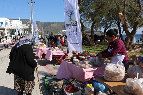 Datça Badem Çiçeği Festivali