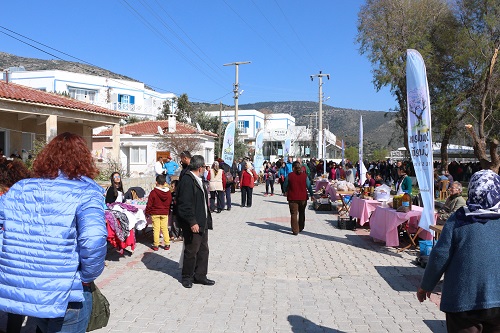 Datça Badem Çiçeği Festivali