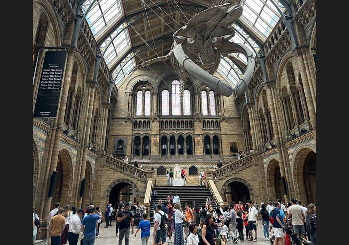 Natural Science Museum - Doğa Tarihi Müzesi