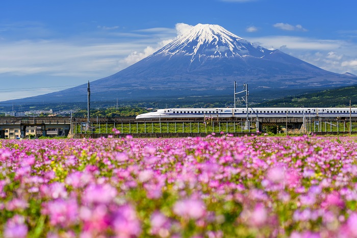 Hızlı Tren Shinkansen