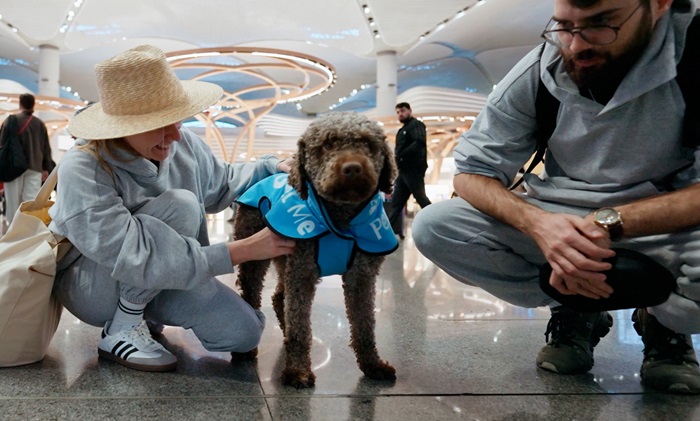 İstanbul Havalimanı Terapi Köpek