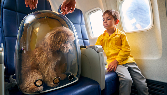 Aeroflot'tan Yeni Uygulama