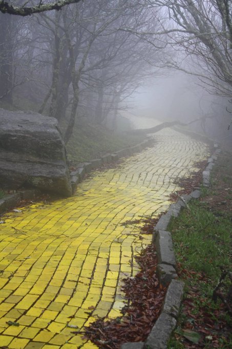 11. The eerie yellow brick road of abandoned "Land of Oz" theme park in North Carolina