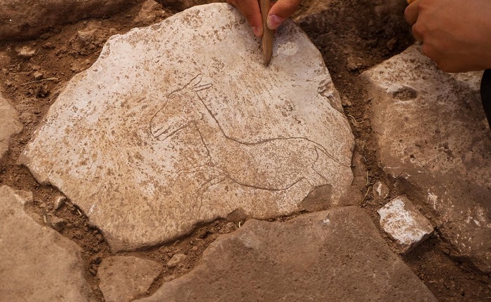 Karahantepe'de kazı alanında koşar halde betimlenen yaban eşeği figürü bulundu