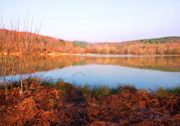 Düzce - Korugöl Tabiat Parkı